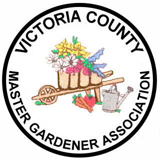 CLICK for VCMGA homepage
