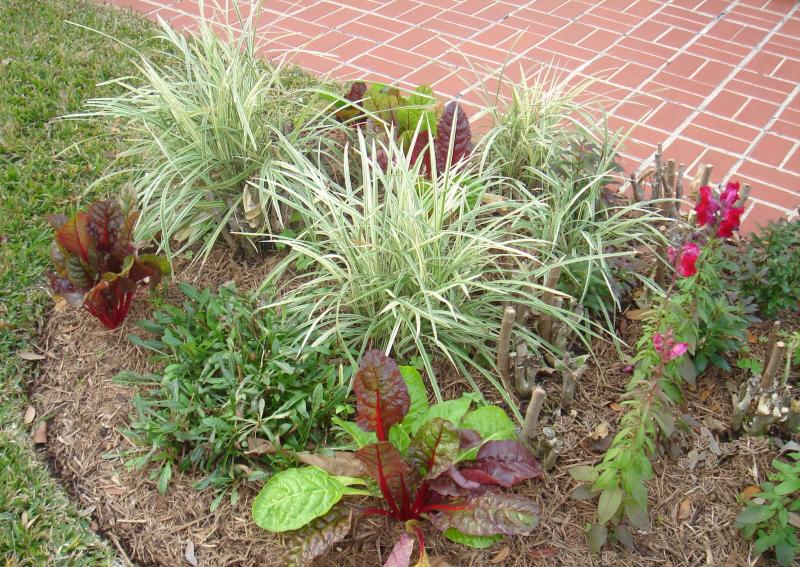 Mulched bed shows pruned back perennails and winter annuals