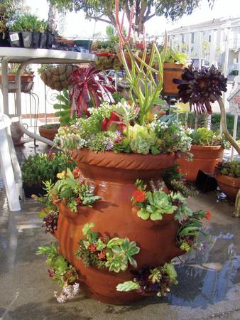 Strawberry Pot with Succulents