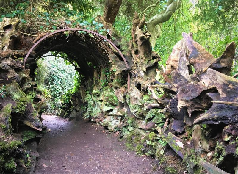 Photo by Felder Rushing