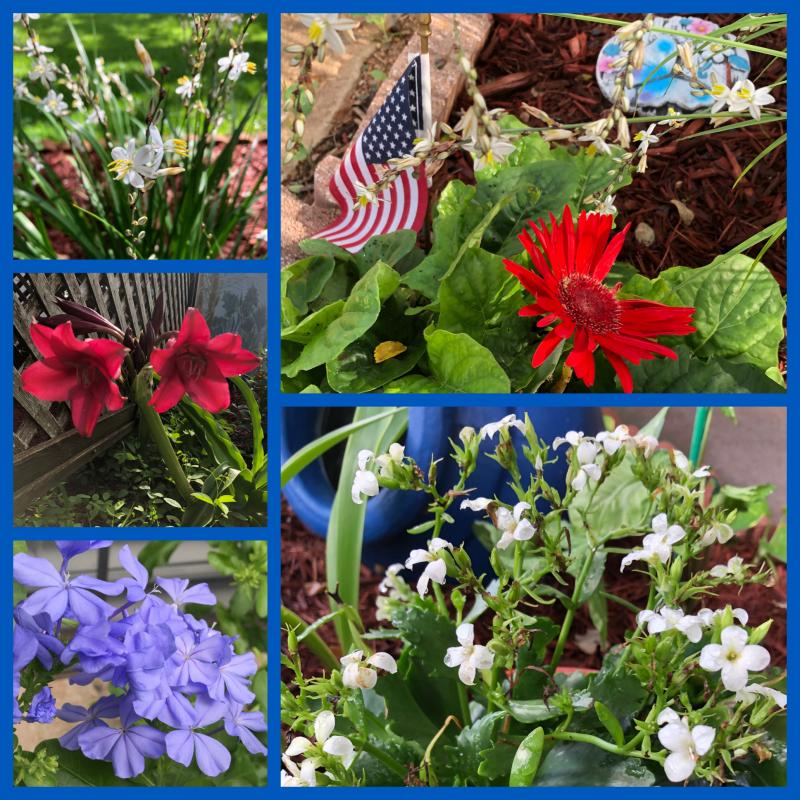 Red White and Blue Collage