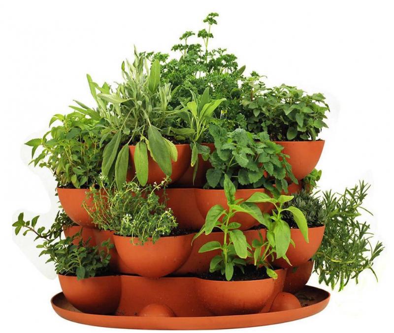 Counter top containers - terracotta planter
