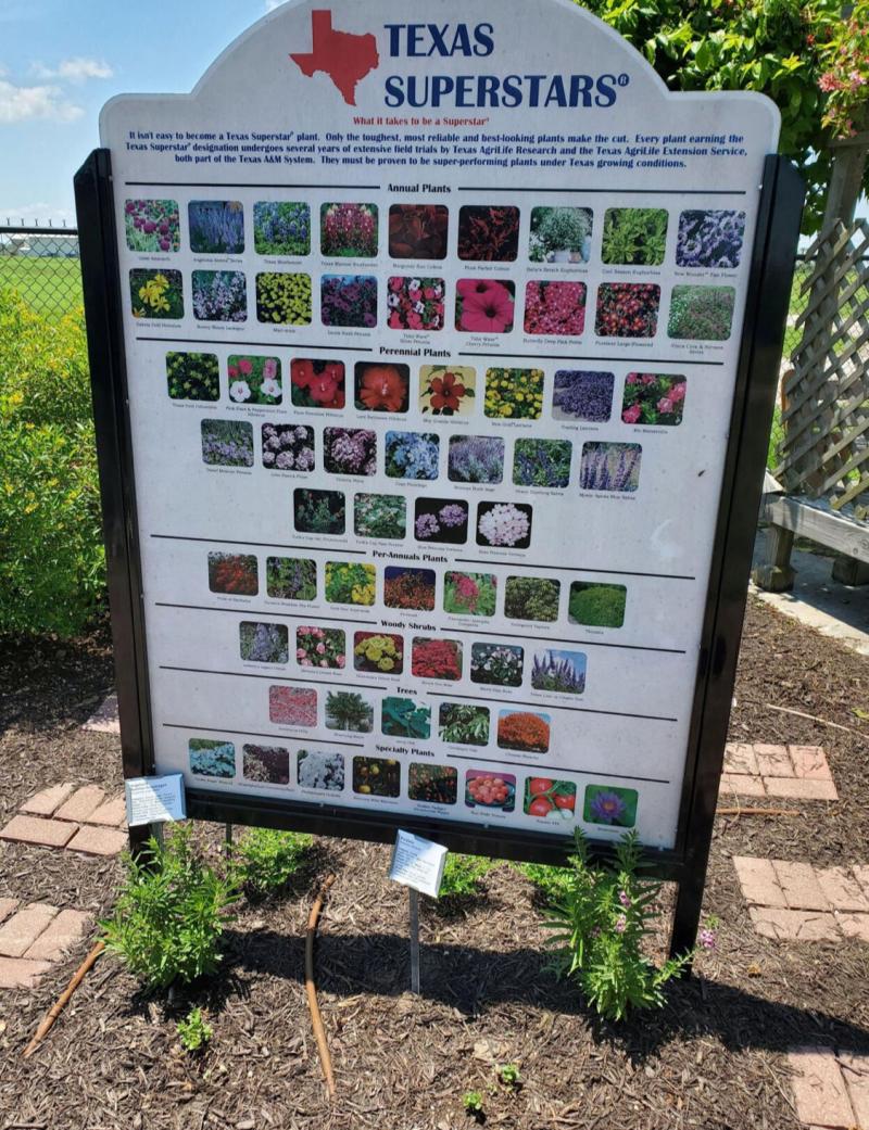 Texas Superstars kiosk at Victoria Educational Gardens