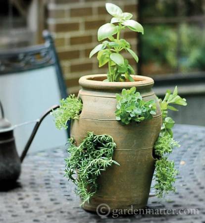 Strawberry Pot with Herbs