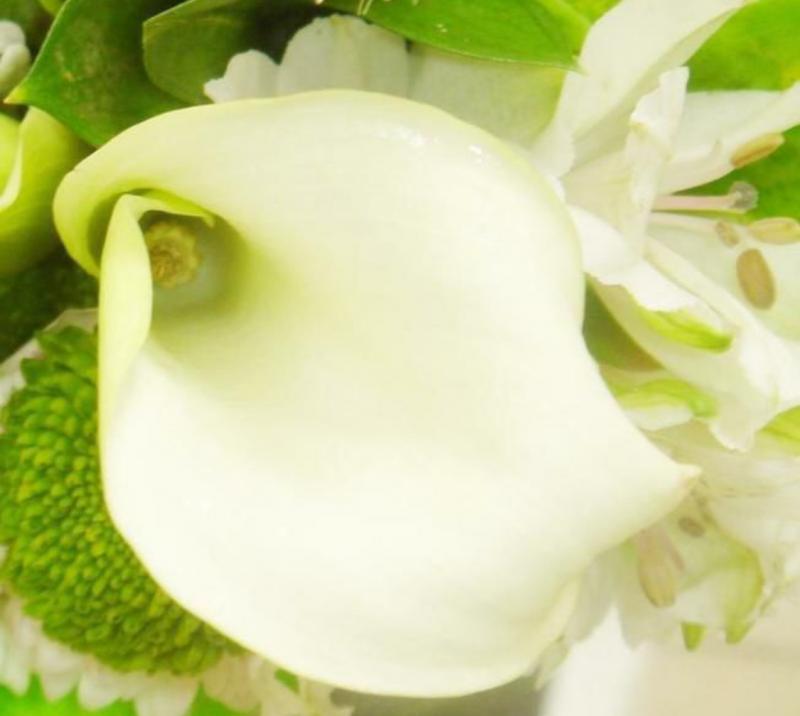 in a bridal bouquet the stately white Calla Lily speaks of simple elegance
