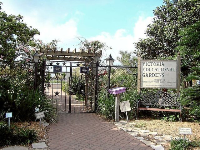Festival In The Gardens