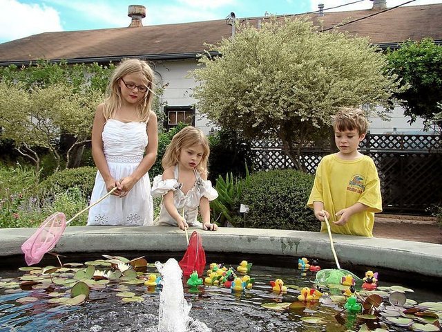 Catch A Duck