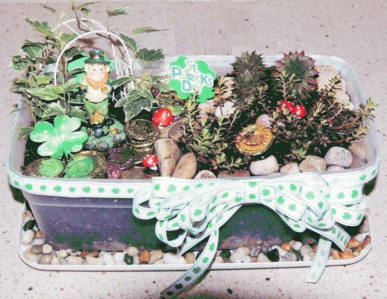 Leprechaun Garden in a plastic shoebox