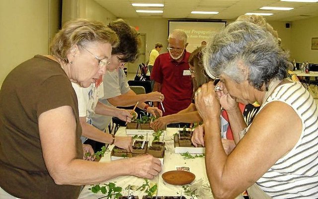 Propagation Training