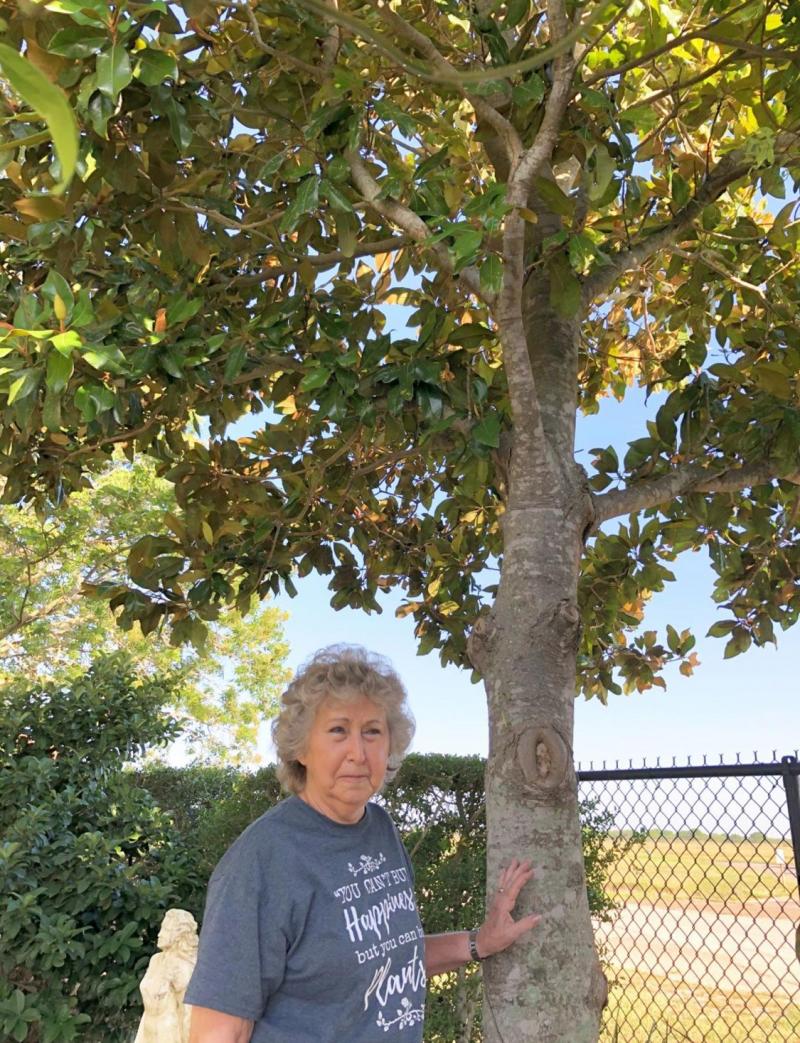 Nancy Zaplac in the Shade Area of VEG