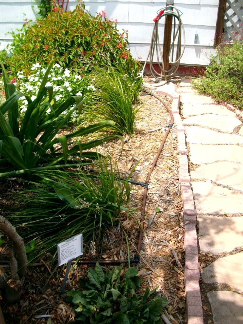 Timed Watering System at Victoria Educational Gardens