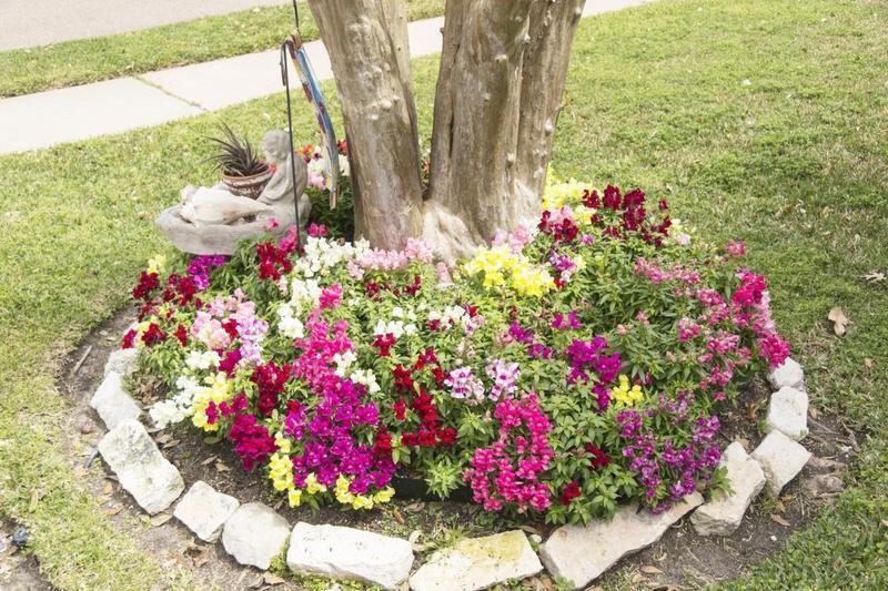Colorful Annual Plantings in Colony Creek Home Garden