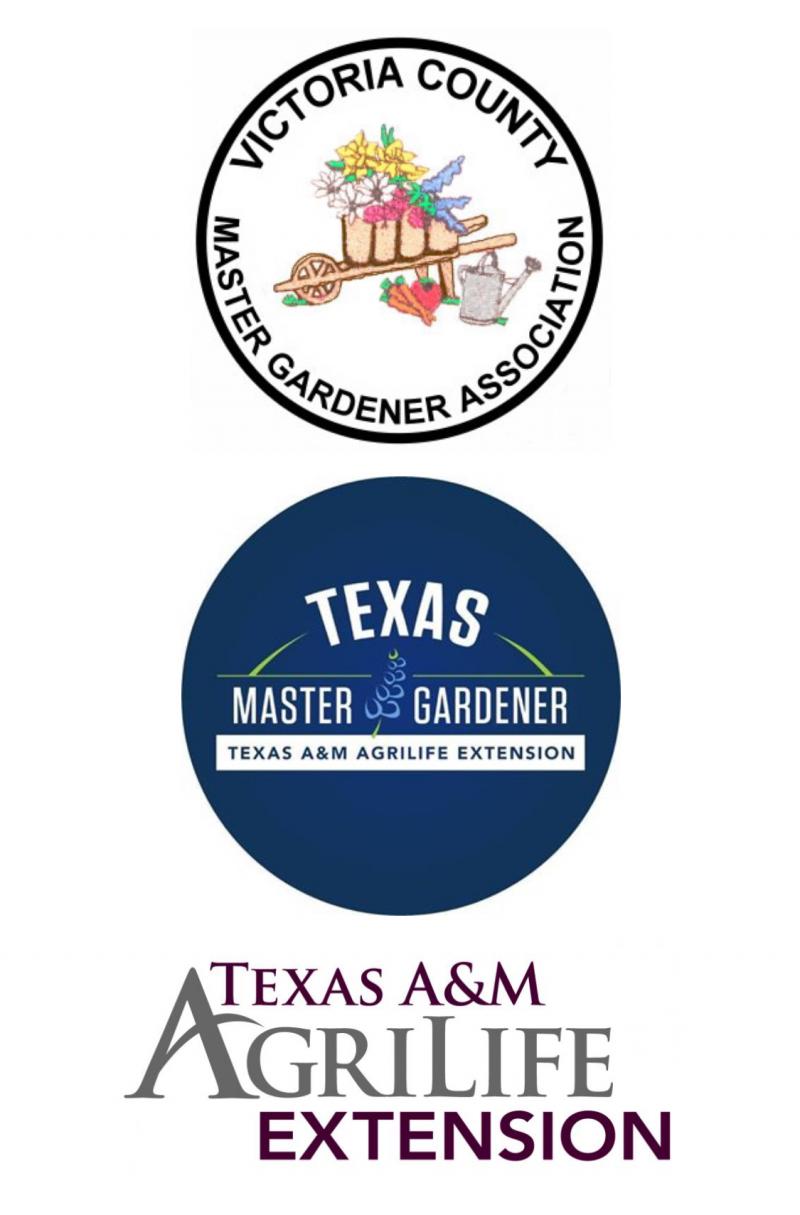 MG Logos