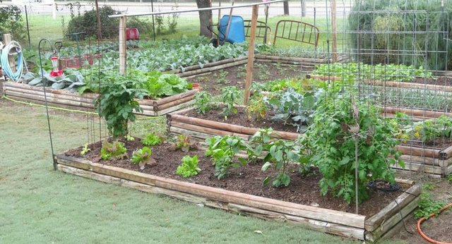 Raised Bed Gardens