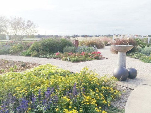 Flower garden with quality soil preparation for wow factor