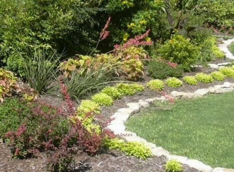 Mulching helps retain moisture for upcoming hot dry conditions