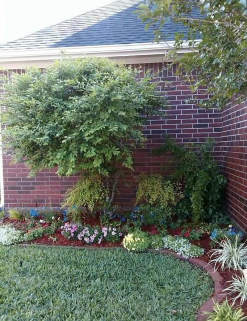 Cool weather plants will be replanted with transitional plantings