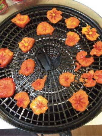 Dehydrated persimmon slices