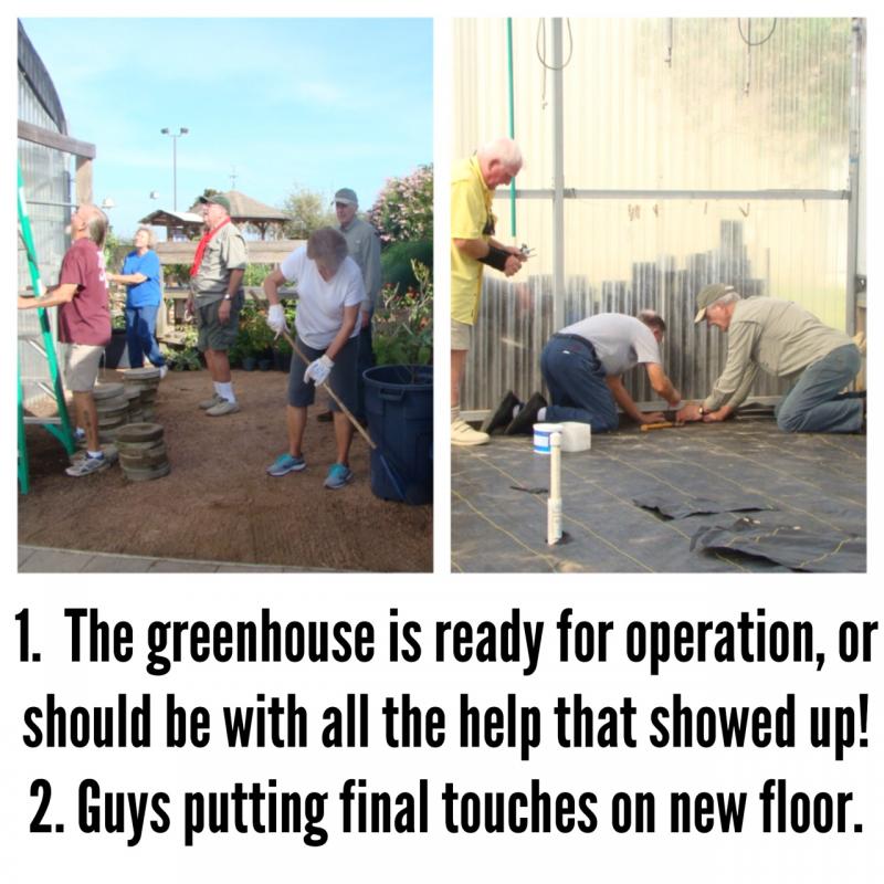 The Greenhouse Is Ready For Propagation