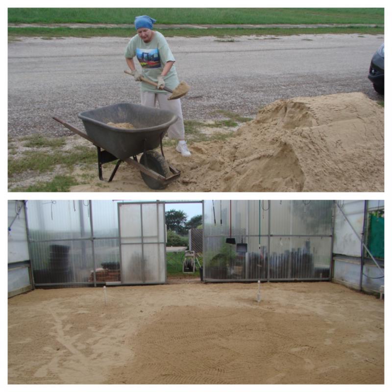 Rebuilding Greenhouse Floor