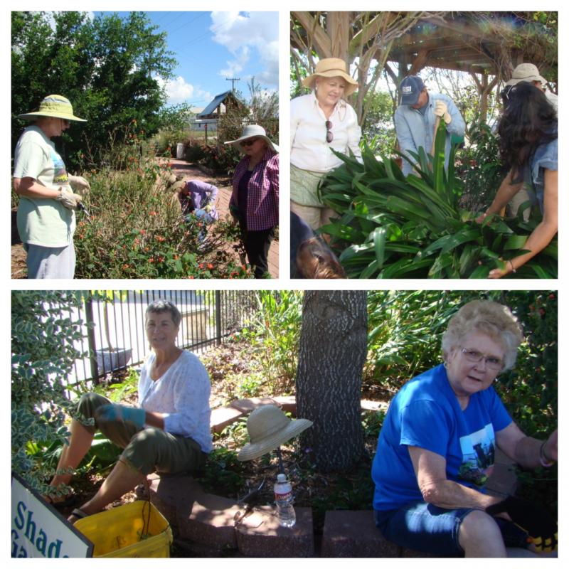 Master Gardener Trainee Day at VEG
