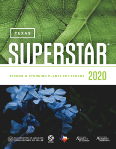 Texas Superstar brochure